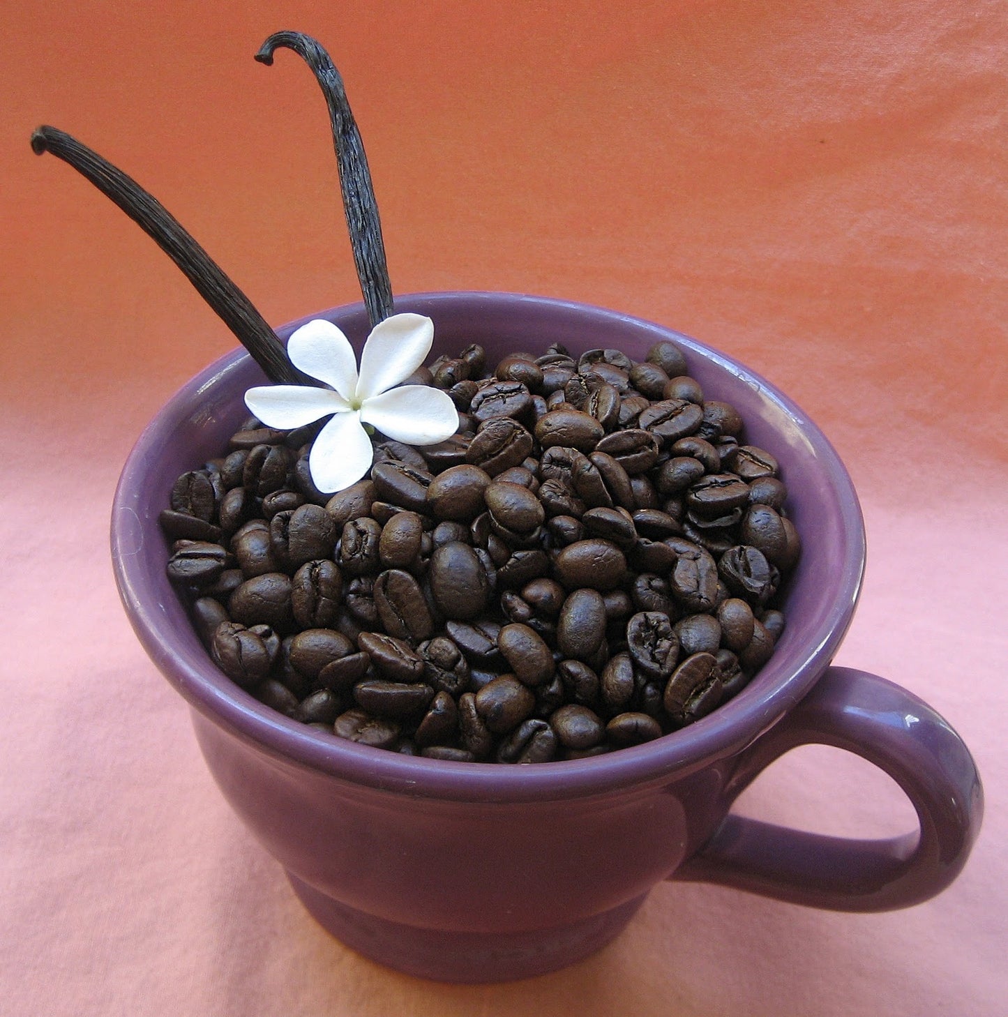 French Vanilla (Medium Roast)